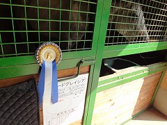 DSC00499.jpg