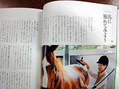 DSC00618.jpg