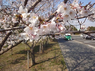 DSC00688.jpg