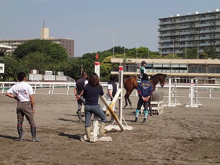 DSC00727.jpg