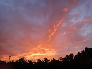 DSC00801.jpg