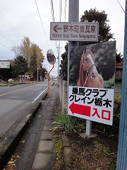 乗馬クラブクレイン栃木がＯＰＥＮしました！