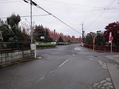 DSC00911.jpg