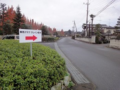 DSC00912.jpg
