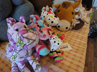 DSC00970.jpg