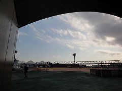 DSC01035.jpg