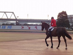 DSC01043.jpg