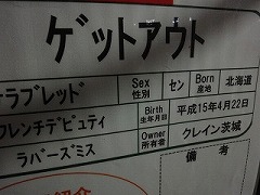 DSC01122.jpg