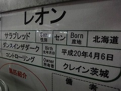DSC01123.jpg