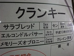DSC01124.jpg