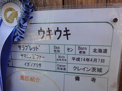 DSC01134.jpg
