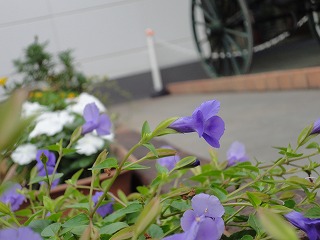 DSC01265.jpg