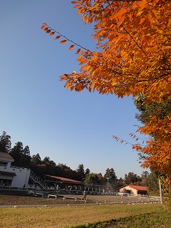 DSC01393.jpg