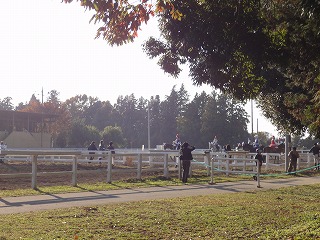 DSC01394.jpg