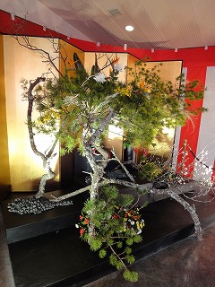 DSC01474.jpg