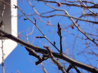 DSC01480.jpg