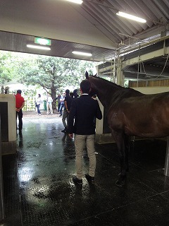 CIC1*Miki2014・・・アジア大会総合馬術選考会３日目