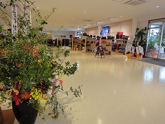 DSC02145.jpg