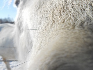 DSCN1649.jpg