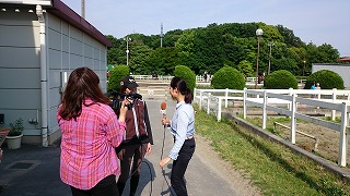 日本テレビ「スッキリ！！」でクレイン東京のペネロペ登場！