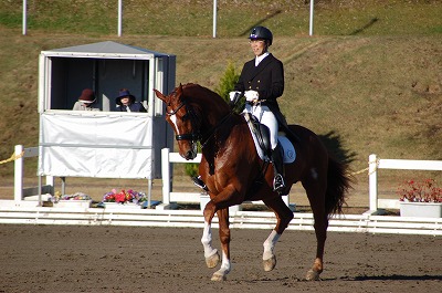 DSC_0875.jpg