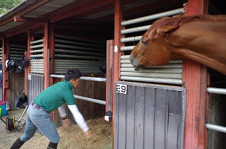 全日本ジュニア総合馬術大会が開催されました！