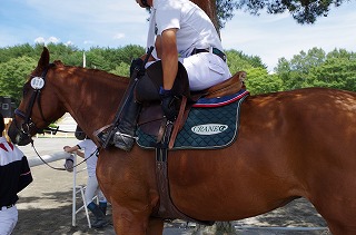 IMGP1756.jpg