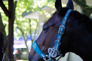 競技シーズン到来！クレイン選手たちの活躍をお届します