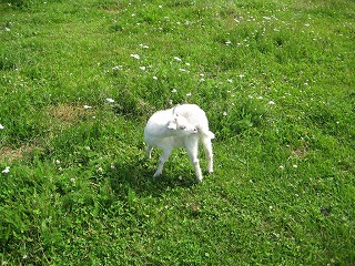 IMG_0677.jpg