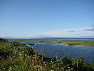 IMG_0684.jpg