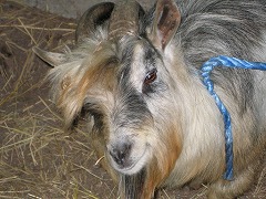 IMG_0995.jpg