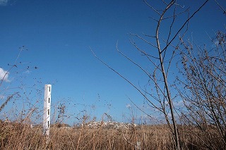 ２０１３年３月１１日は・・・
