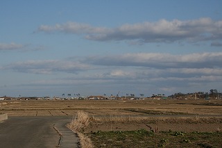 IMG_1278.jpg
