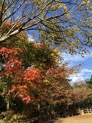 IMG_2006.jpg