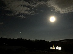 IMG_2320.jpg
