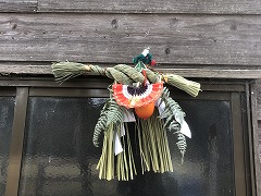 IMG_2359.jpg