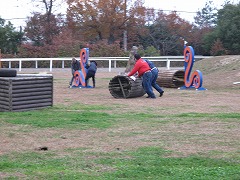 IMG_2365.jpg