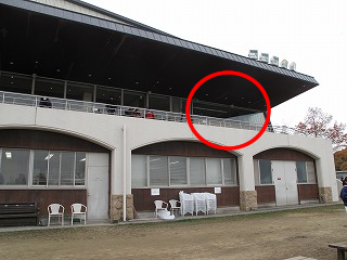 馬術の審判席ってどんなところ！？