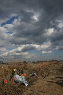 IMG_2784.jpg