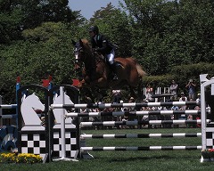 IMG_2874.jpg