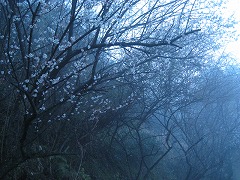 ここは・・・どこ？