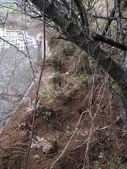 IMG_3606.jpg
