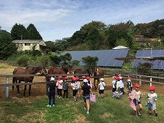 IMG_6453.jpg