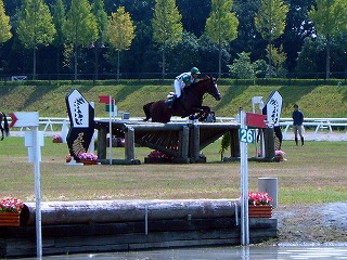 P1010096.jpg