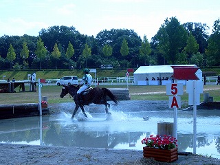 P1010101.jpg