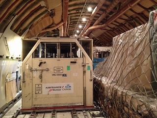 cargo.jpg