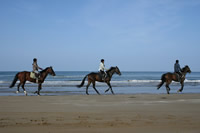 chiri_04-04.jpg