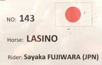 LASINO1.jpg