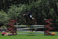 horseshow2-10.jpg