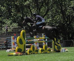 horseshow2-11.jpg